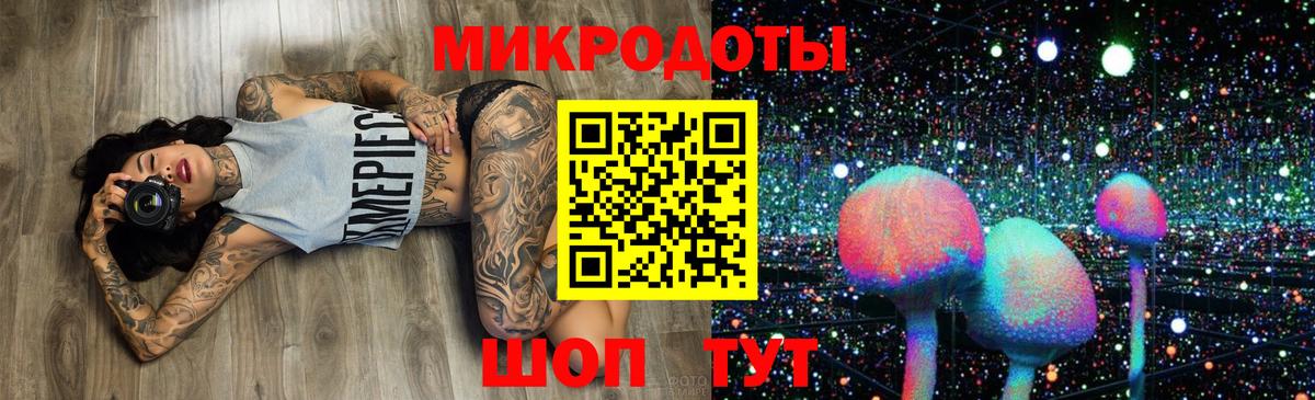 Тавда  Псилоцибиновые грибы Cubensis  Вход с VPN  Псилоцибиновые грибы прущие грибы 
